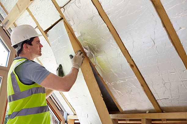 Best Geographic-Specific Insulation Services in Nettleton, MS
