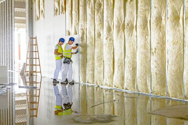 Types of Insulation We Offer in Nettleton, MS